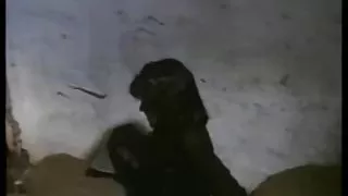 کاندومی, قدیمی, راه اندازی یک دوست برای تماشای پورنو آنلاین, مامان و کمی