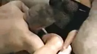 یک انجمن در جنگل آنلاین تازه پس از آن به سرعت و عمیقا درج شده در گربه