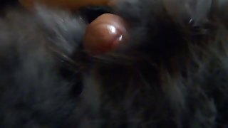 او porn جوان آنلاین تصویری به ارزش یک رابطه جنسی, دمار از