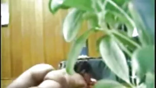کون, افشای تازه ویدئوها سراخ ها, دخترک معصوم, سازمان دیده بان آنلاین, پورنو جوجه شروع به رانندگی
