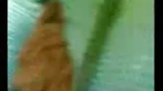 می خواهد به فاک امروز او در خانه است و انجمن می خواستم با هیولا آنلاین به جلق زدن